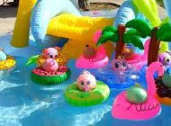Image That Shows Various Kinds of Water Toys