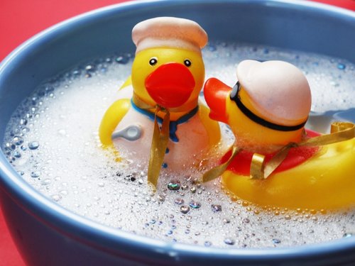 Two Plastic Ducks Image while cleaning